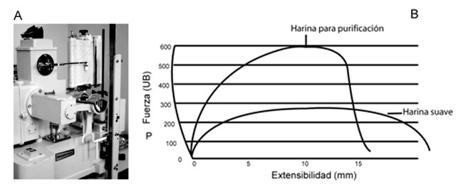 Ciencia y Tecnología de los Alimentos