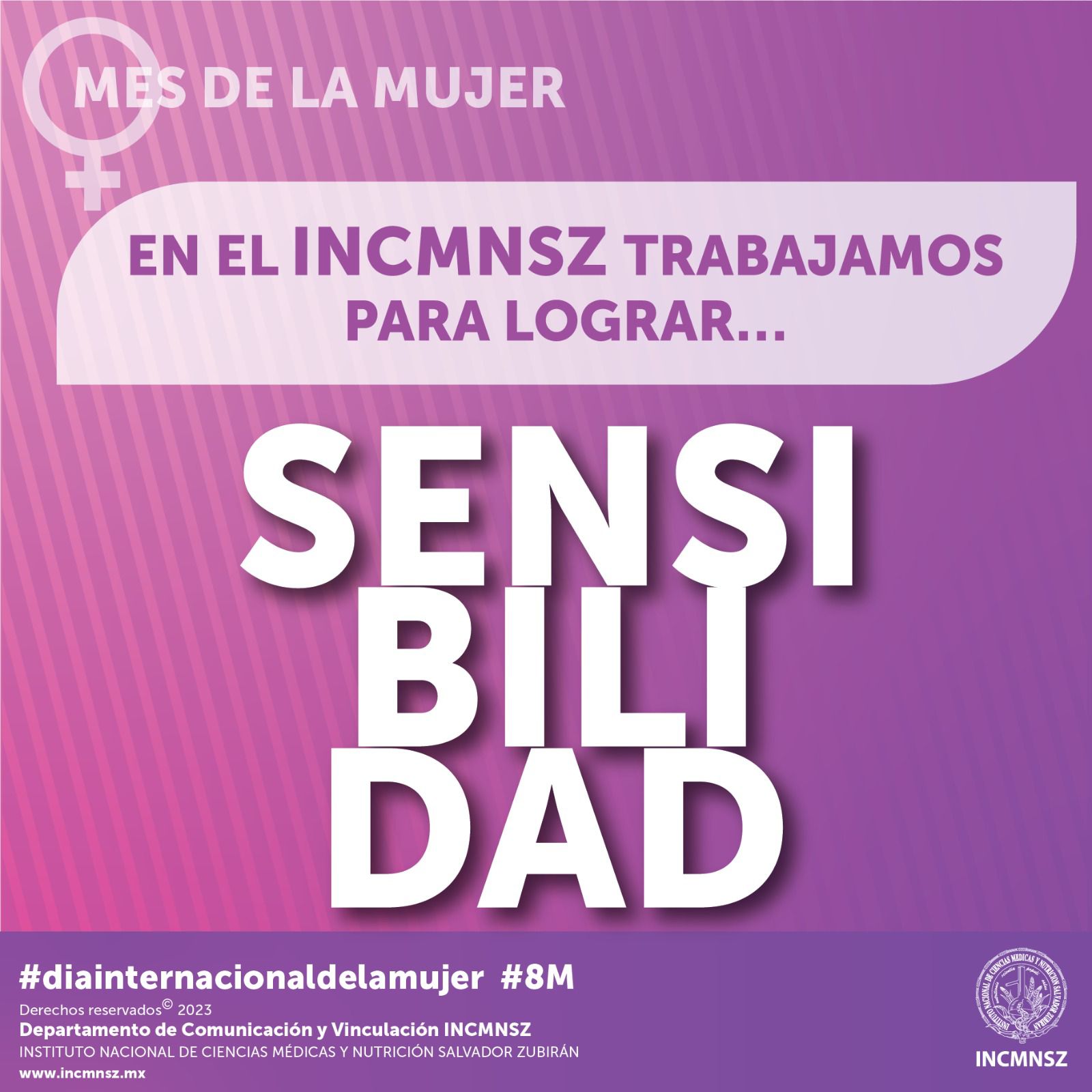 Imagen 21