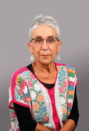 Sara Elena Pérez Gil Romo