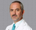 Director de Investigación